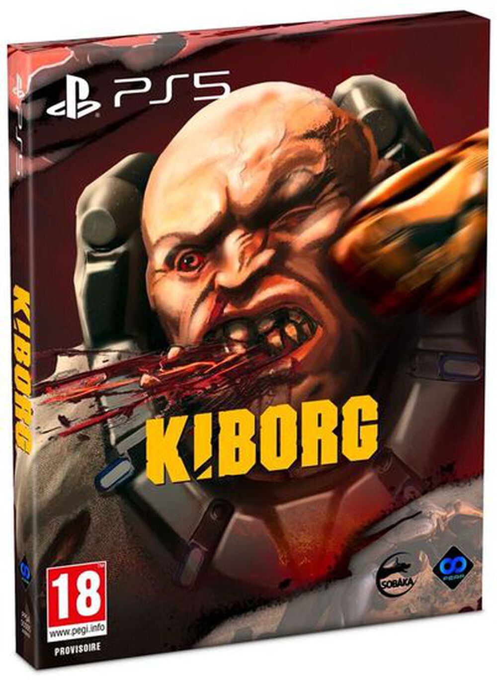 Kiborg PS5