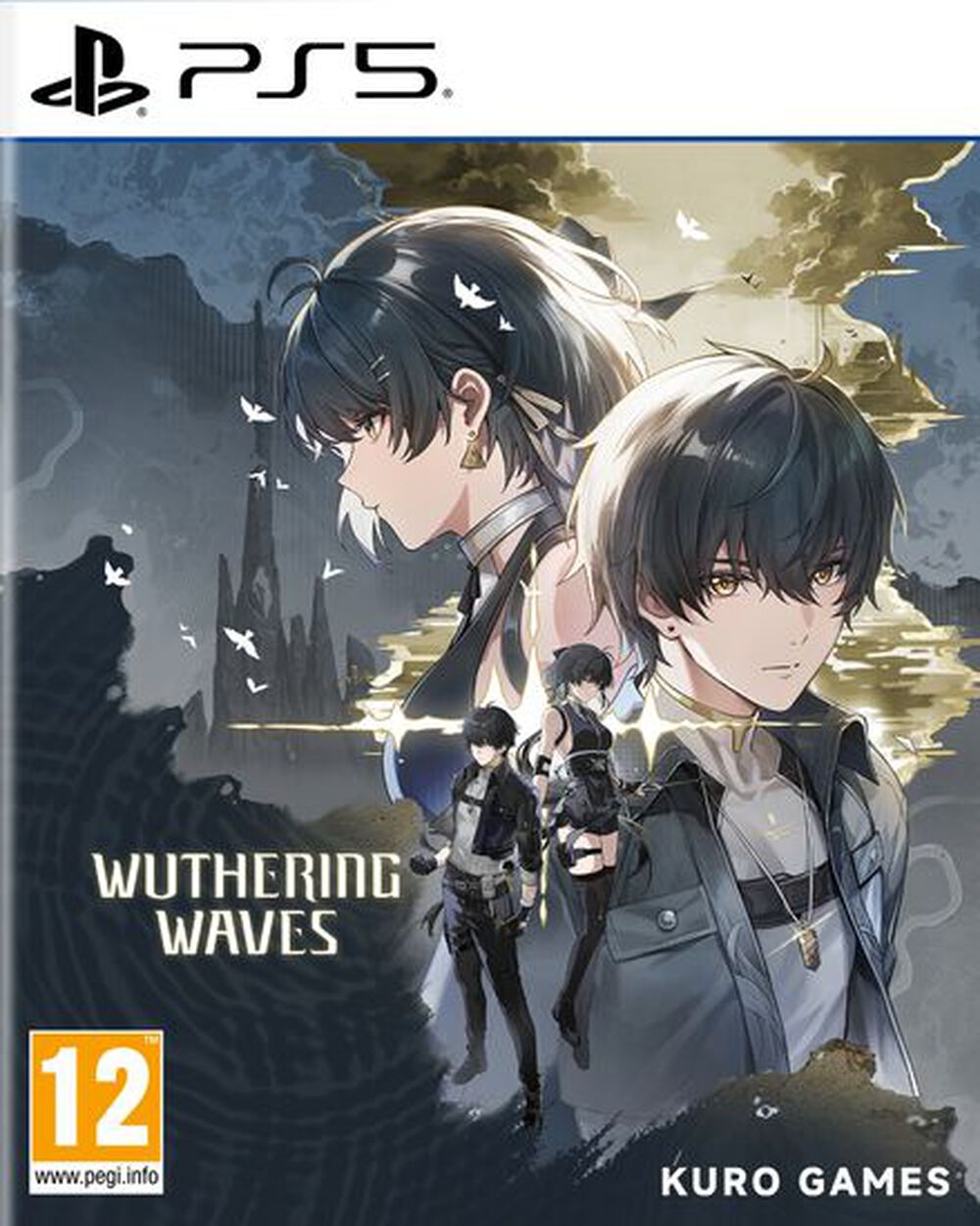 Wuthering Waves Deluxe Collection