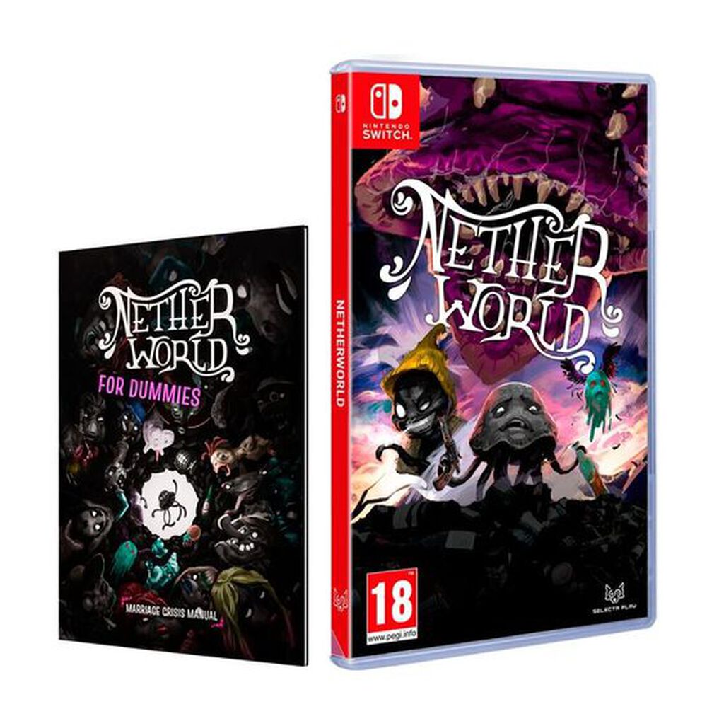 Pochette avant du jeu Netherworld SWITCH