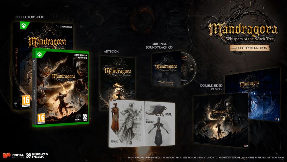 Pochette avant du jeu Mandragora Whispers Of The Witch Tree Collector's Edition XBOX SERIES X