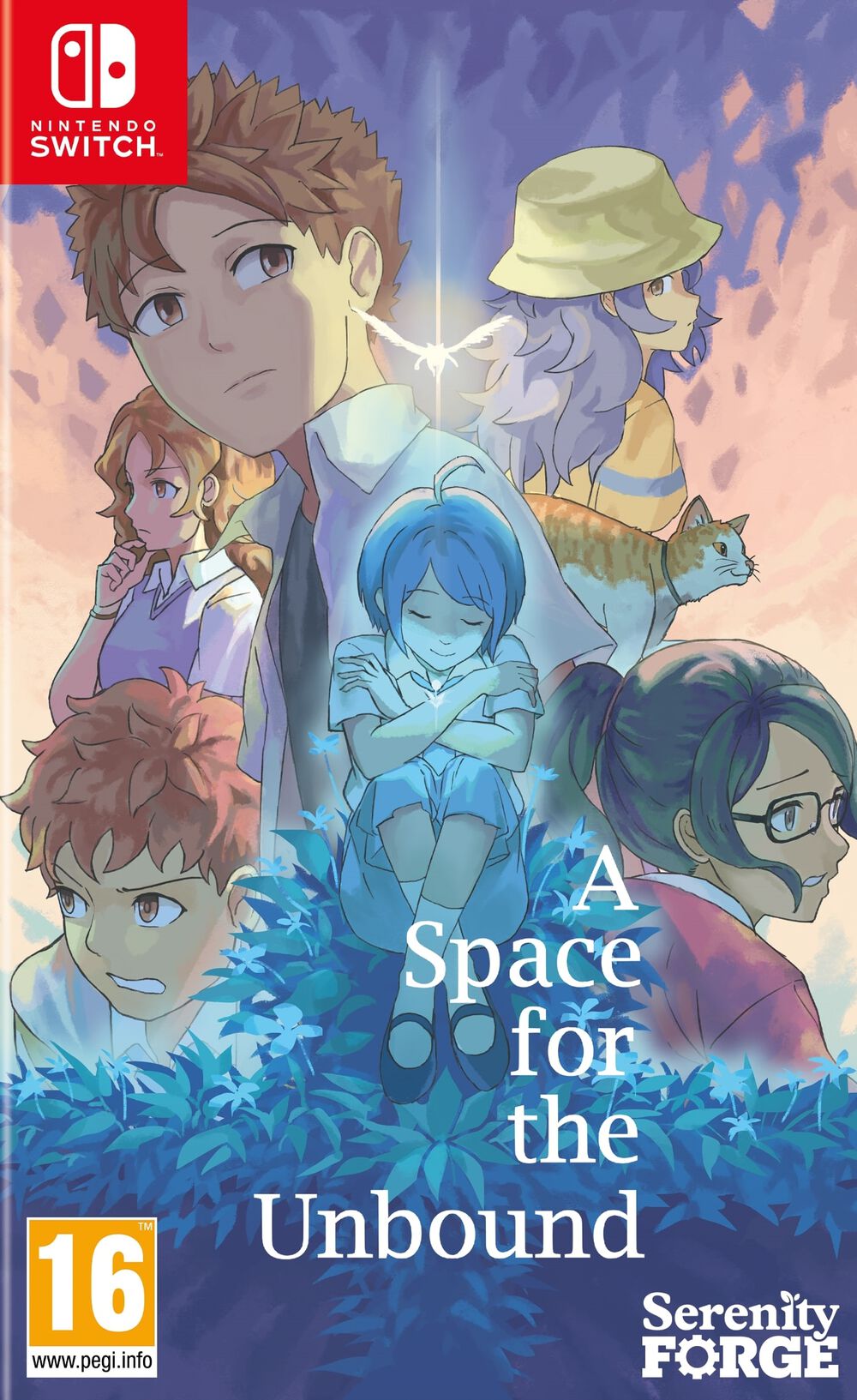 A Space For The Unbound - Occasion SWITCH