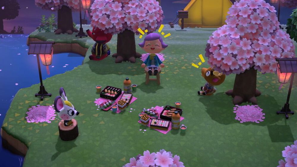 Animal Crossing New Horizons - Occasion SWITCH