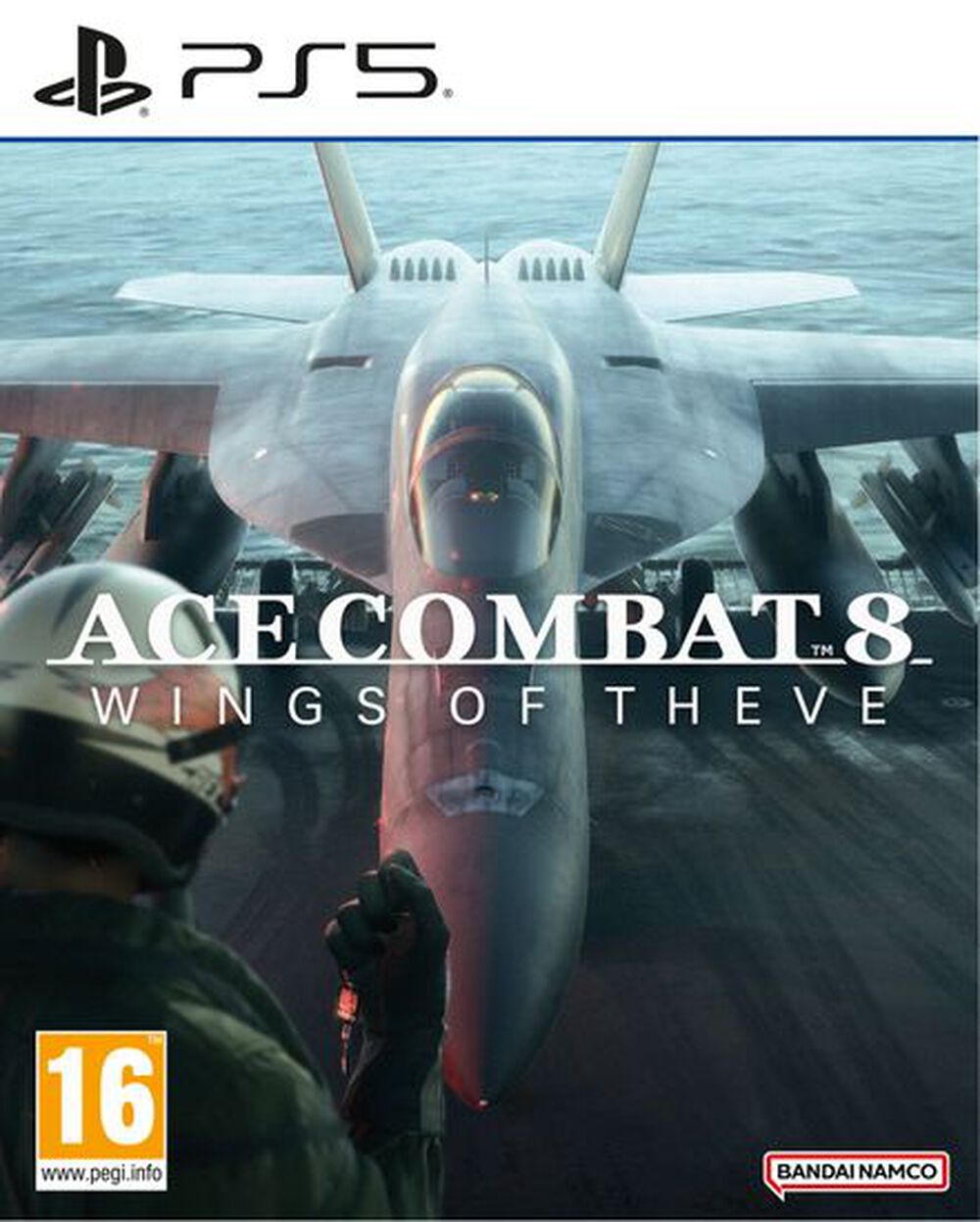 Ace Combat 8 Wings Of Theve  Occasion PS5