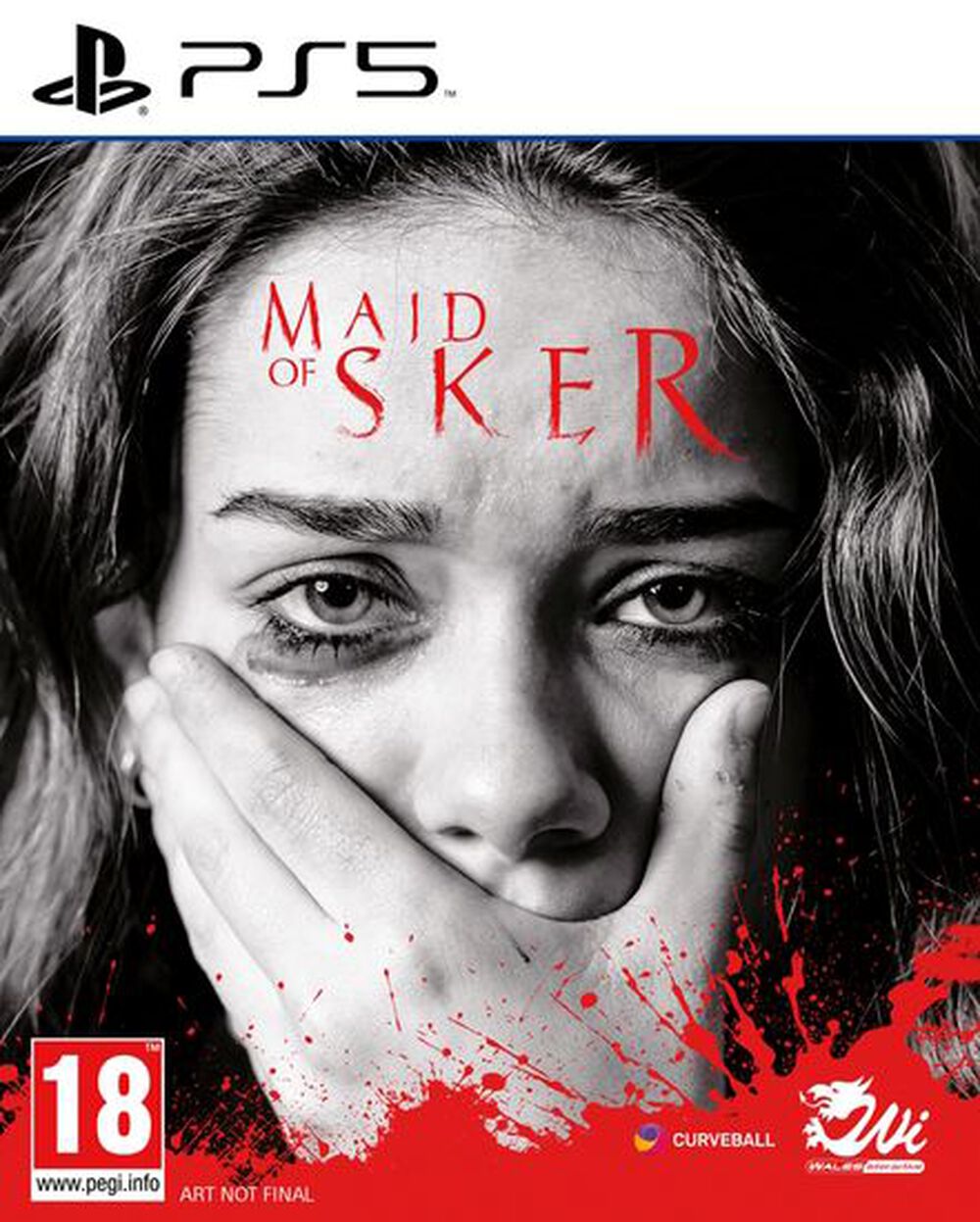 Maid Of Sker - Occasion PS5