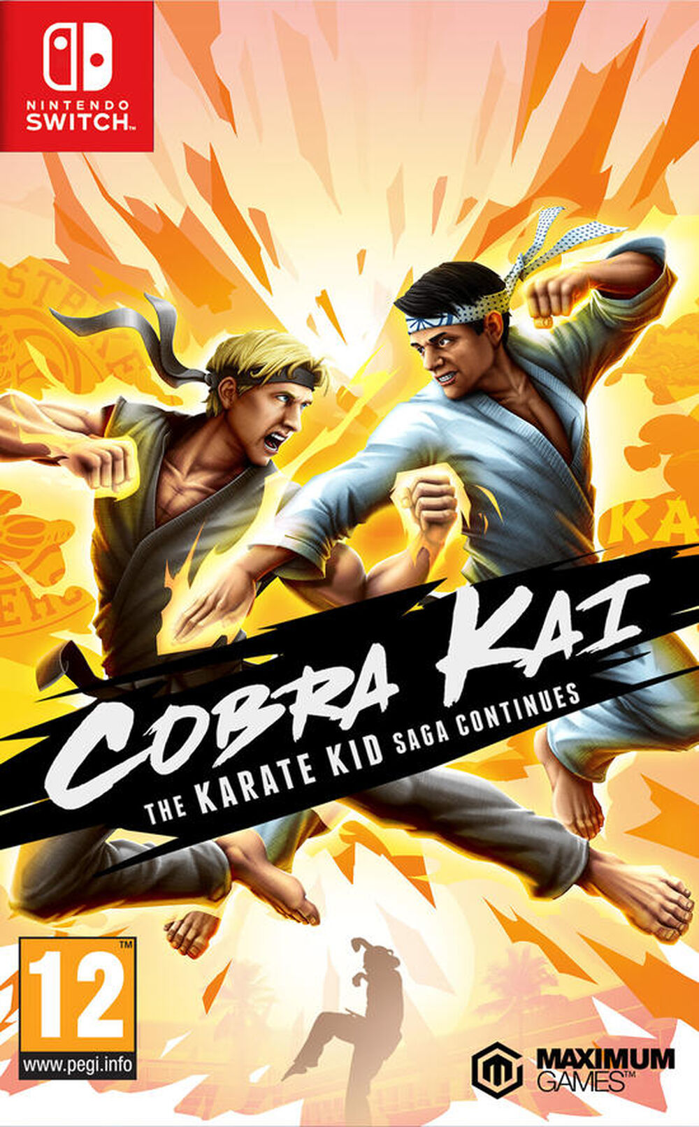 Cobra Kai The Karate Kid Continues - Occasion SWITCH