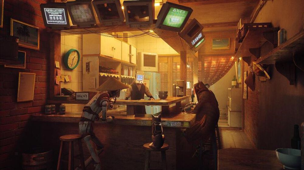 Stray - Occasion PS5